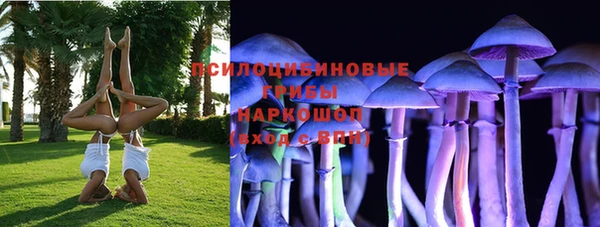 стафф Ладушкин